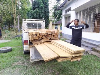 Smuggled wood from Balijan reserve forest